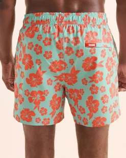 HAMABE Compressive Liner Volley Swimsuit* Volley Shorts